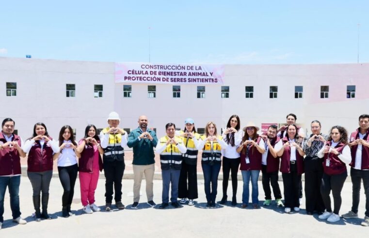Registra 77 por ciento de avance la primera Célula de Bienestar Animal