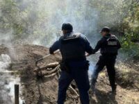 En distintas intervenciones, SSP realizó acciones para la preservación del patrimonio natural