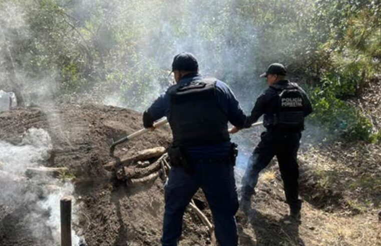 En distintas intervenciones, SSP realizó acciones para la preservación del patrimonio natural