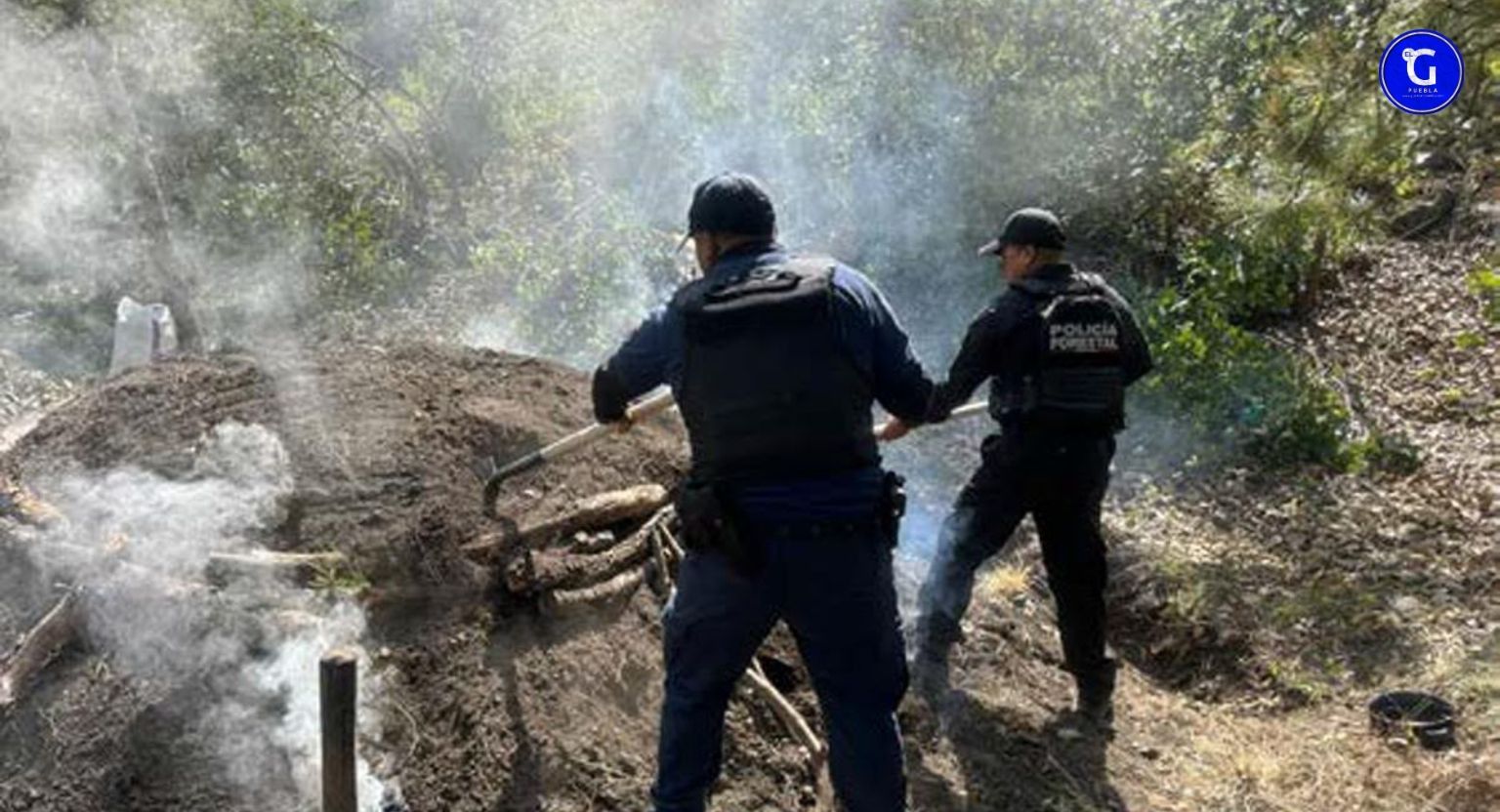 En distintas intervenciones, SSP realizó acciones para la preservación del patrimonio natural