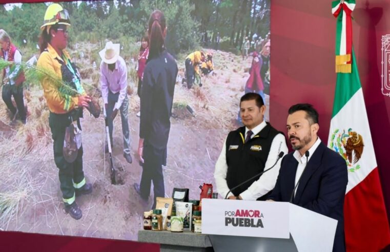 Gobierno refuerza protección de bosques y garantiza vivienda a guardias forestales