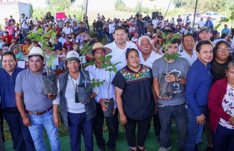 Obra Comunitaria fortalece turismo y desarrollo en San Nicolás de los Ranchos
