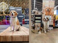 Petco México impulsa el segmento premium con la incorporación de nuevas marcas especializadas en el cuidado y bienestar de las mascotas