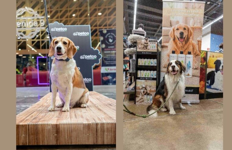 Petco México impulsa el segmento premium con la incorporación de nuevas marcas especializadas en el cuidado y bienestar de las mascotas