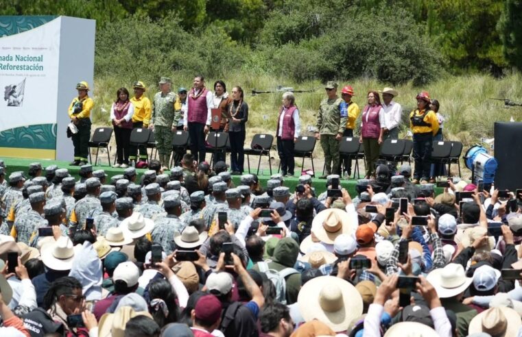 Suma Pepe Chedraui esfuerzos con Claudia Sheinbaum y Alejandro Armenta en la Jornada Nacional de Reforestación