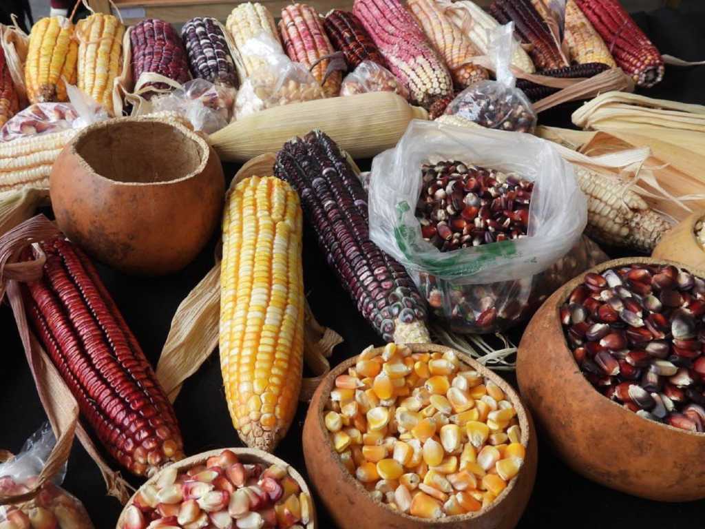 La Resurrección, sede de la cuarta edición de la Feria del Maíz