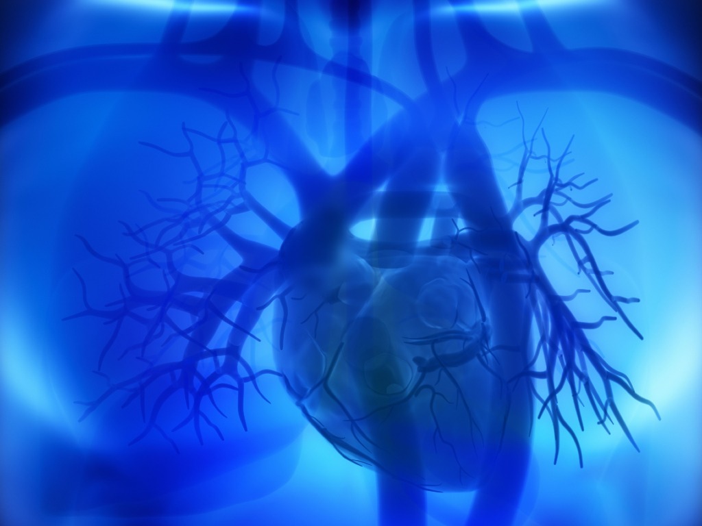 ¿Lo sabías? Un tercio de la población mexicana vive con colesterol LDL elevado; Amgen llama a impulsar detección temprana