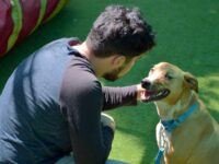 BUAP cumple cuatro años llevando bienestar emocional con terapias asistidas por perros