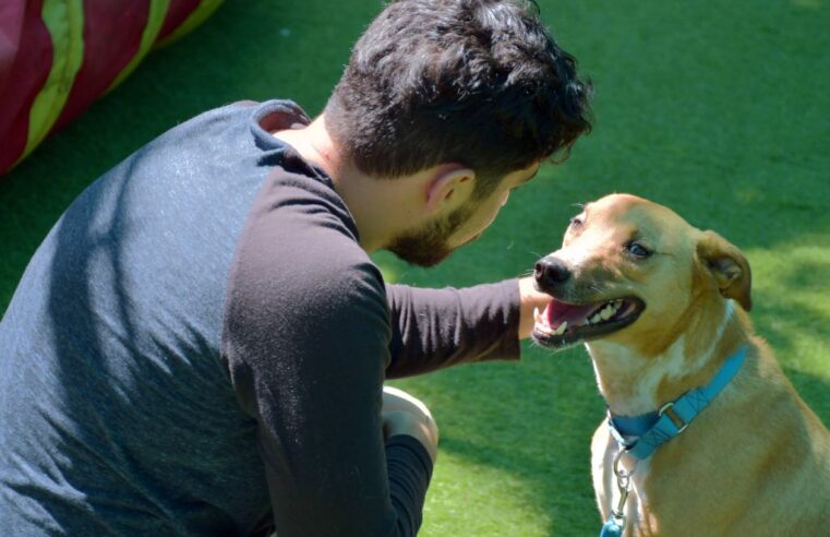 BUAP cumple cuatro años llevando bienestar emocional con terapias asistidas por perros