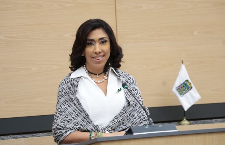 Diputada Norma Pimentel promueve una iniciativa