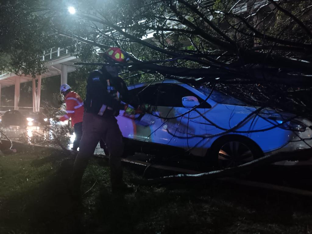 Desplega Gobierno de la Ciudad acciones y atención inmediata a reportes por lluvias