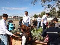 Gobierno de la Ciudad impulsa educación ambiental con 120 huertos escolares y nuevos santuarios de polinizadores