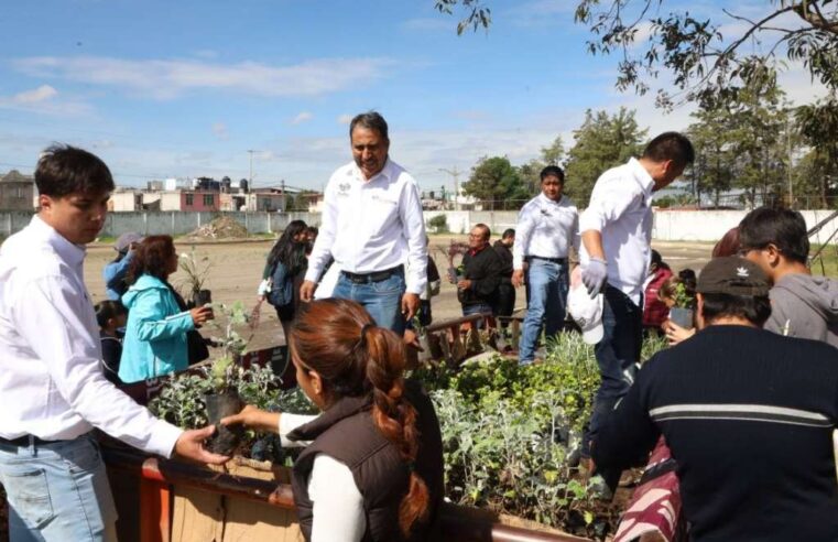 Gobierno de la Ciudad impulsa educación ambiental con 120 huertos escolares y nuevos santuarios de polinizadores