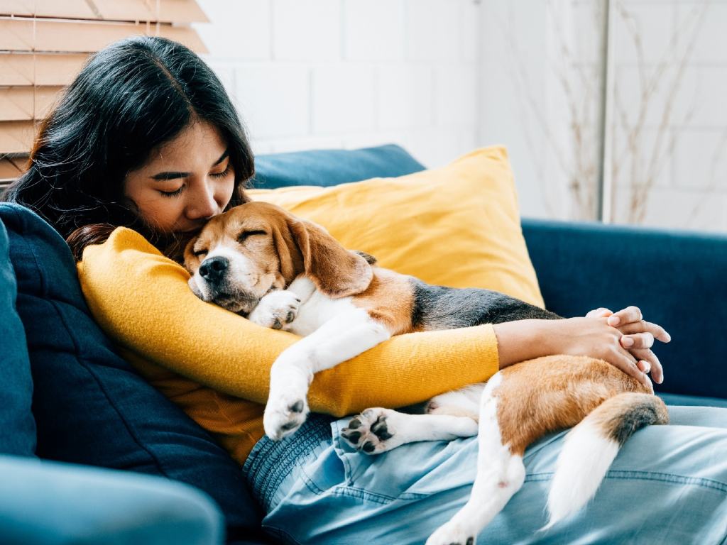 México destaca en adopción de mascotas, pero persisten dudas: estudio revela qué preocupa a las familias