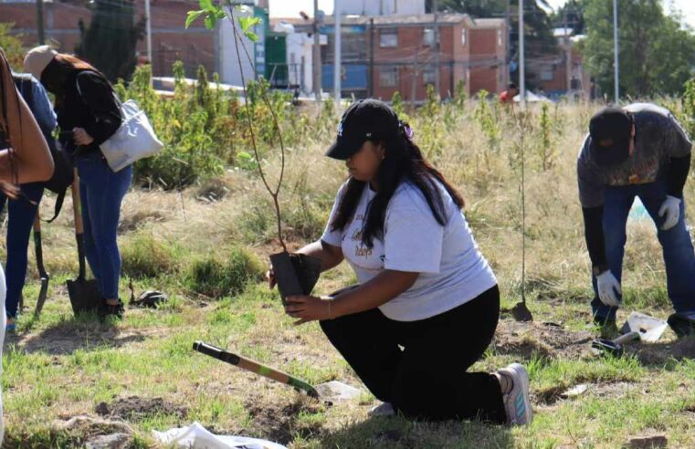 Impulsa gobierno de Pepe Chedraui la reforestación en Puebla capital con Raíces del Futuro