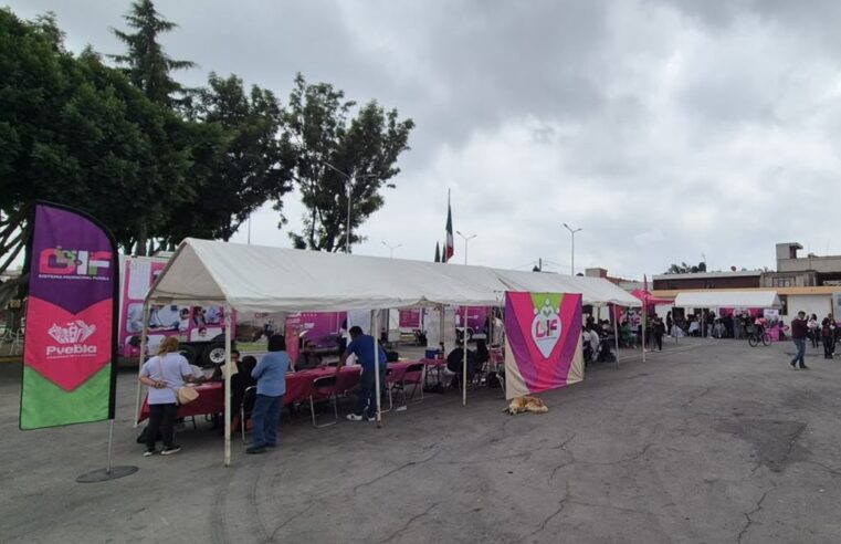 Realizan Jornada de Servicios Integrales en Guadalupe Hidalgo